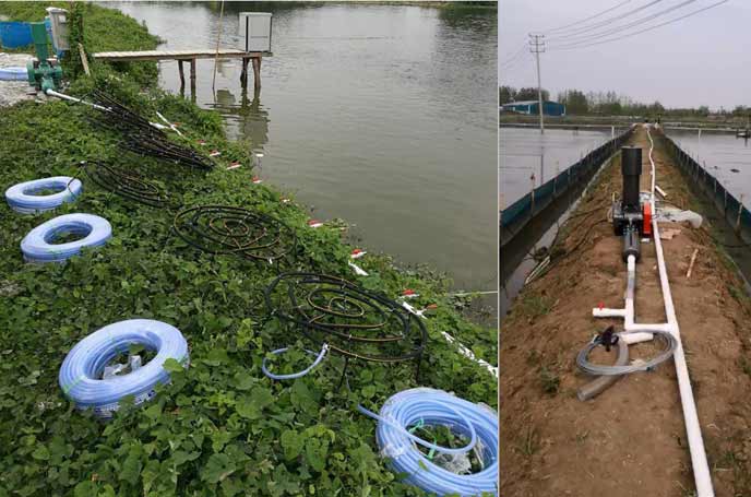 水產養殖羅茨羞羞视频在线下载