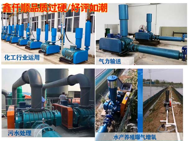 電鍍廠用羅茨羞羞视频在线下载 電鍍廠用羅茨羞羞视频在线下载