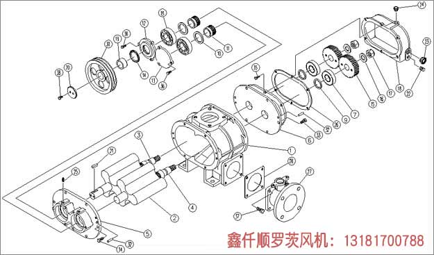 羅茨羞羞视频在线下载工作組成部件